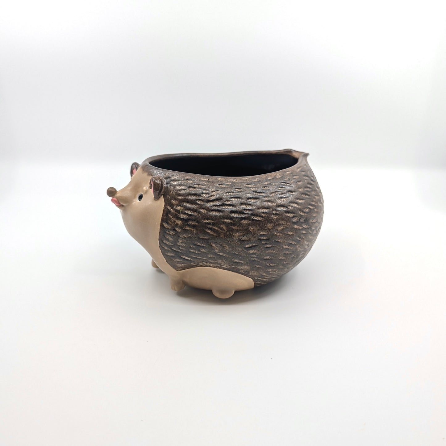 Hedgehog Bowl