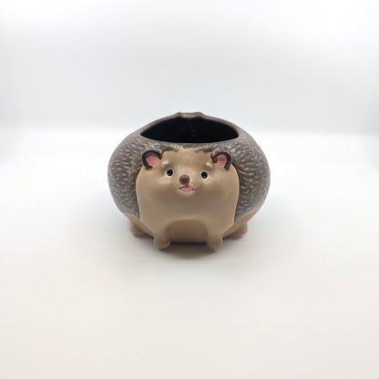 Hedgehog Bowl