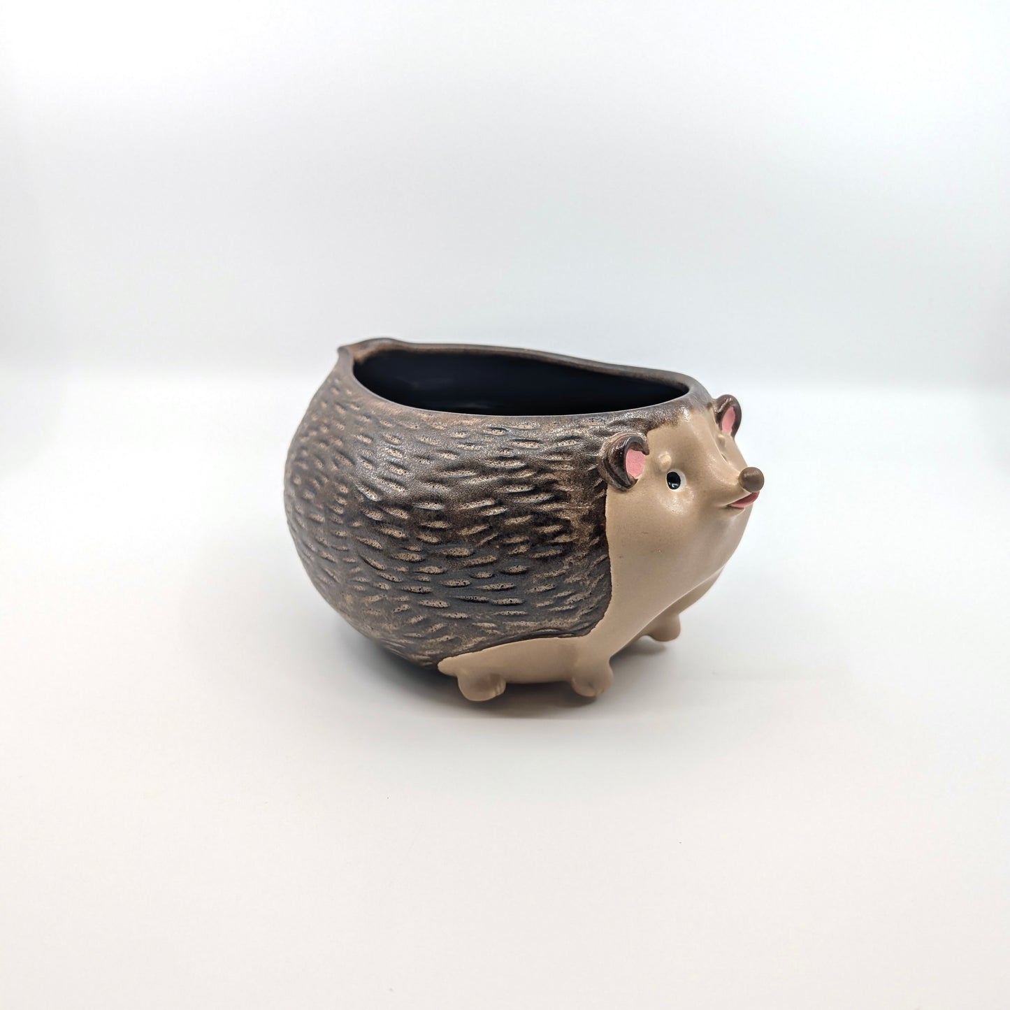 Hedgehog Bowl